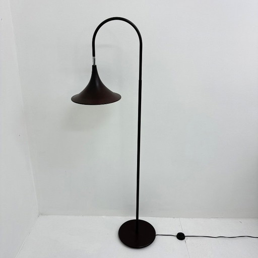 Hala Zeist Trompeten-Stehlampe in Braun, minimalistisch, niederländisches Design der 1970er Jahre