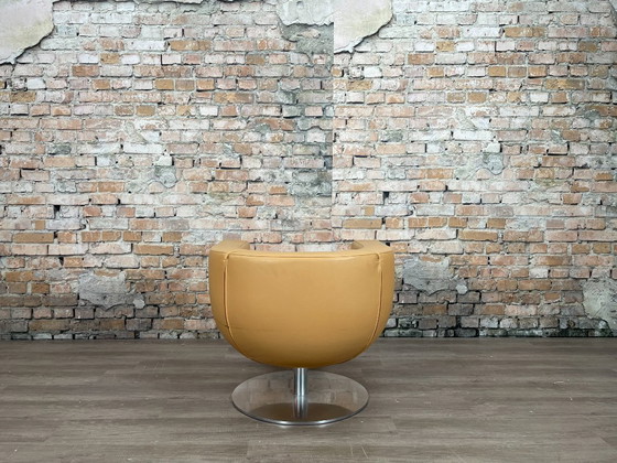 Image 1 of B&amp;B Italia Tulip Sessel Kamel