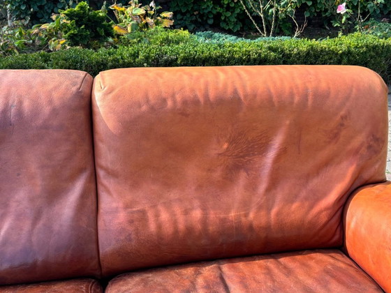 Molinari Fat Boy, Divano 2,5 posti, Cognac – Divani, Pelle (photo 8 of 9)