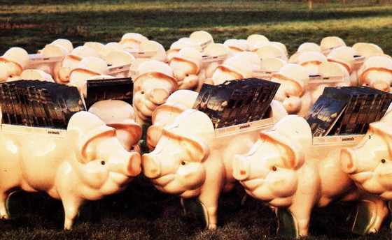 Image 1 of Platenstandaard voor het album Animals van Pink Floyd, 1977