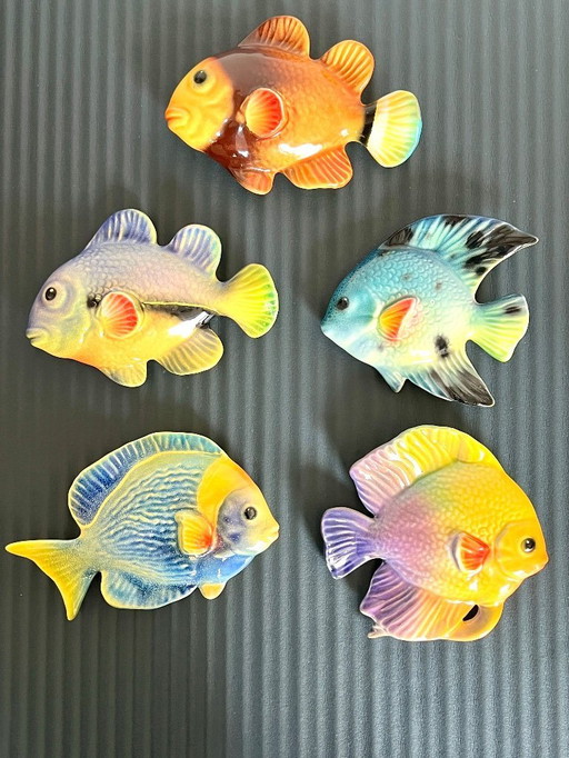 Collection of 5 Italian 13-15cm Ceramic Fish, some Caltagirone, Sicily