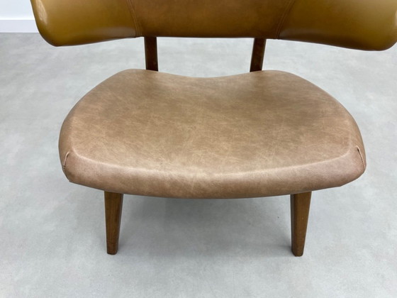 Image 1 of Louis van Teeffelen für das Wébé Penguin Restoration Project