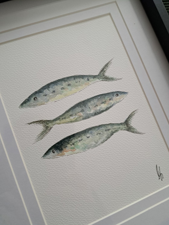 Image 1 of Origineel aquarel schilderij sardientjes inclusief lijst frame