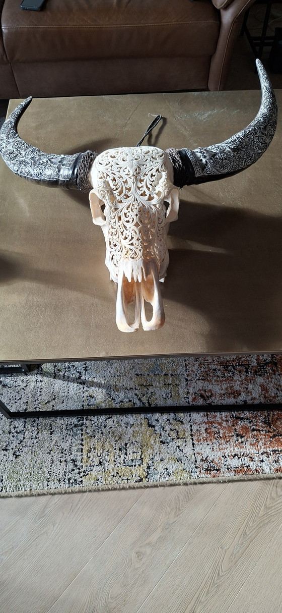 Originele buffelkop – Wanddecoratie, Other (photo 2 of 5)