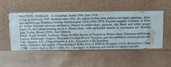 Image 1 of Uccello acquerello Donald Watson(1910-2005)