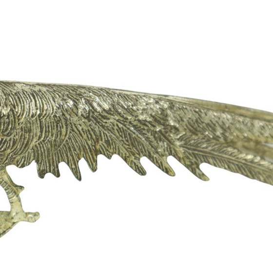 Image 1 of Images de faisans France