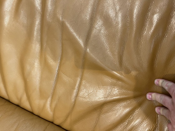 Image 1 of Perida design colore Torro mais