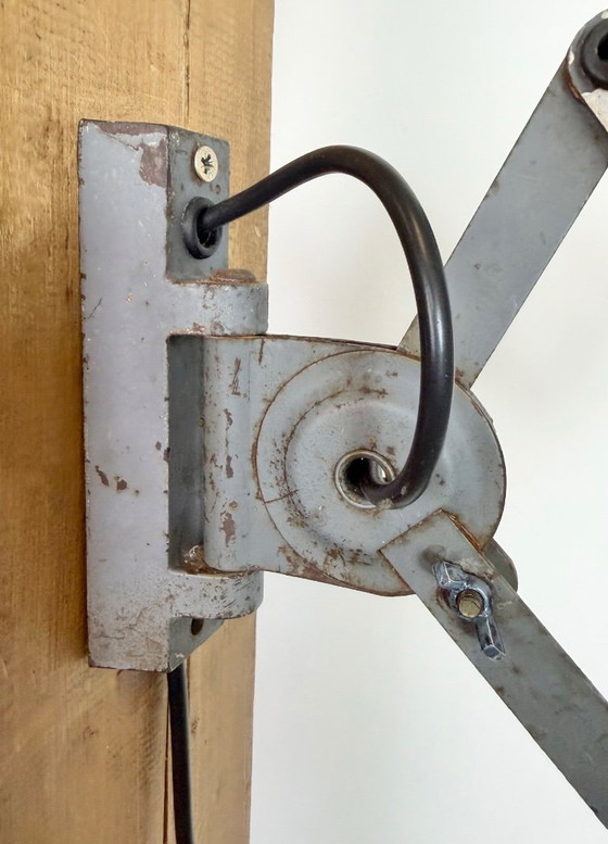 Image 1 of Grijze industriële wandlamp met flexibele arm van Elektroinstala, jaren 60.