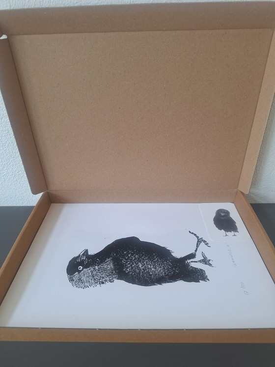 Grabado/ Linograbado pájaro/ grajilla – M. Jaspers, Láminas artísticas, Papel (photo 6 of 6)