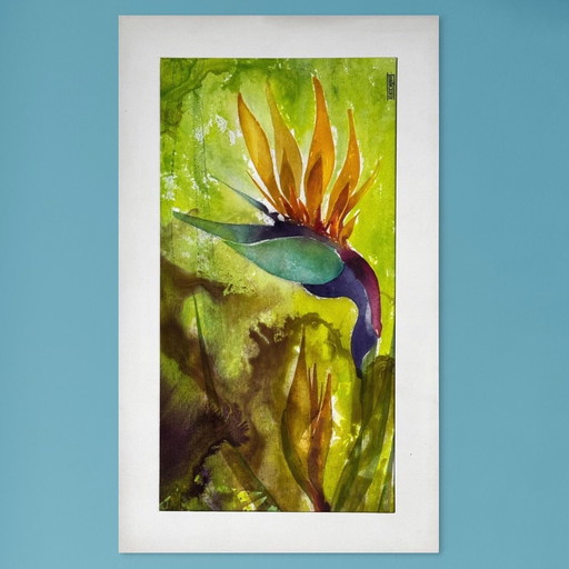 Eugene Eechaut (1928-2019) - Strelitzie - 1968. Signed