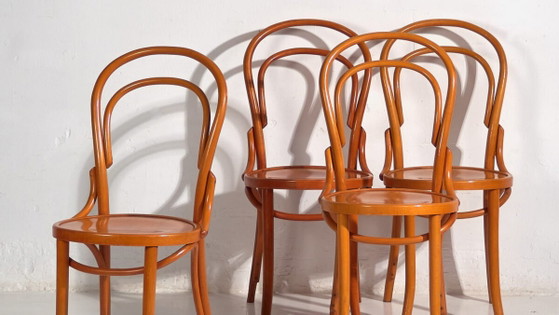 Sedie Thonet antiche (c.1920). Set di 4 pezzi #5 – Sedie da pranzo (photo 3 of 40)