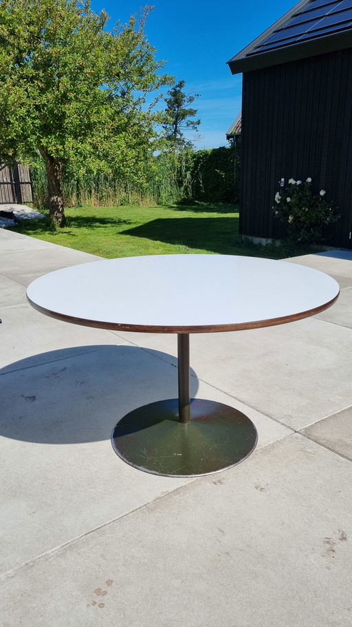 Mesa vintage de tulipán