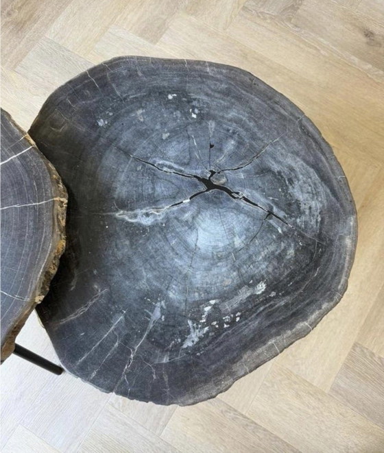 Image 1 of Salontafelset versteend hout