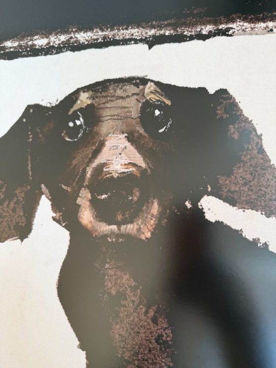 Image 1 of R.Kaja, Teckel au cinéma, Night with Film, affiche, 2017