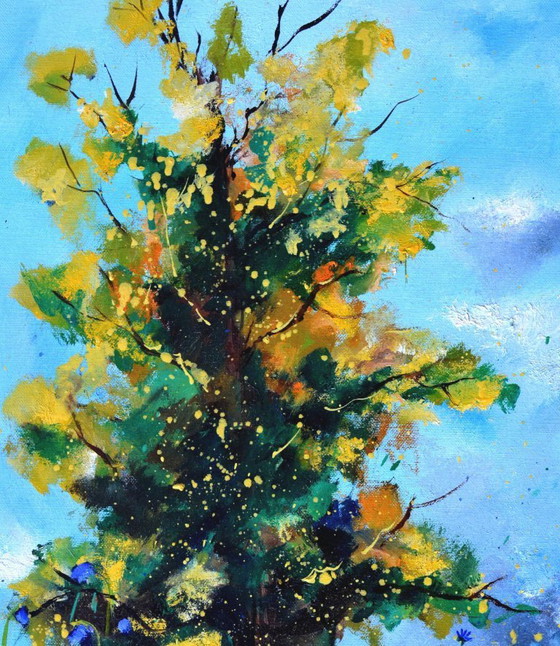 Image 1 of An oak in summer