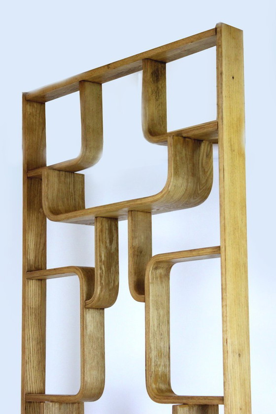 Image 1 of Mid-Century Modern Room Divider by Ludvik Volak for Drevopodnik Holesov, 1960s