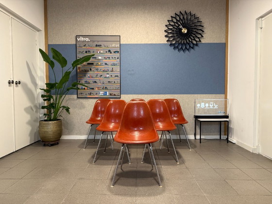 Image 1 of Herman Miller | Charles & Ray Eames | DSX | Terracotta Fiberglass – Chrome steel base | 6x
