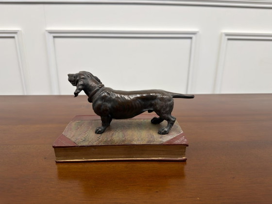 Scultura antica Bloodhound – Sculture, Bronzo, Pelle (photo 7 of 8)