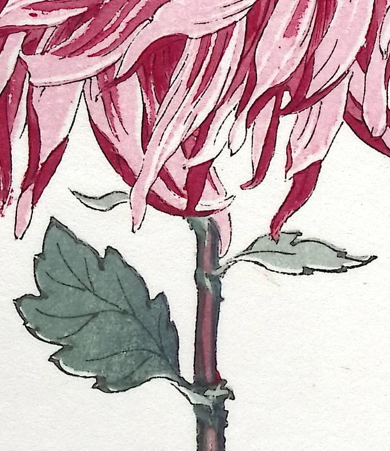 Keika Hasegawa - "One Hundred Chrysanthemums" – Paintings & Drawings, Paper (photo 6 of 8)