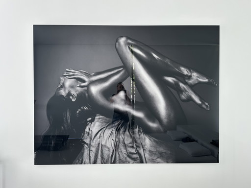 Photo d'art Cobra Art, 200x150cm