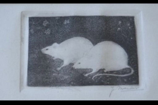 Jan Mankes 1889-1920 / Gravure originale 2 souris