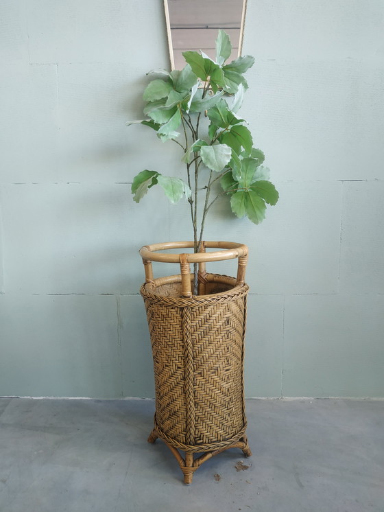 Image 1 of Porte-parapluie vintage en bambou et rotin Porte-plante