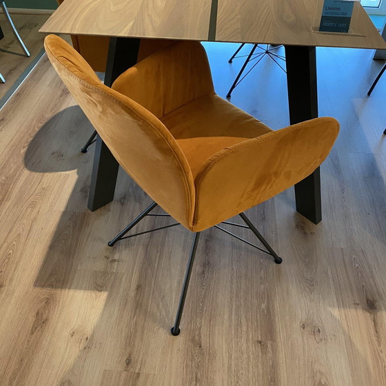 Image 1 of Nando Set di 4