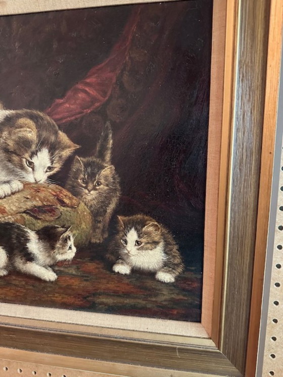 Image 1 of moederpoes,drie kittens
