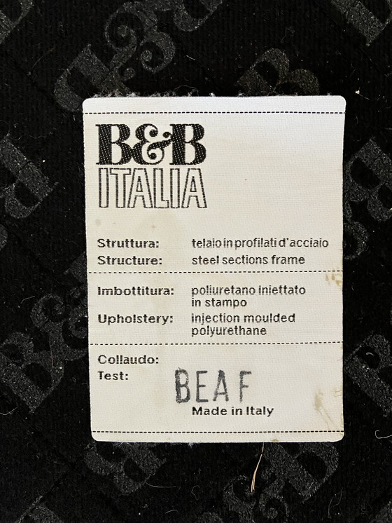Image 1 of B&B Italia Richard
