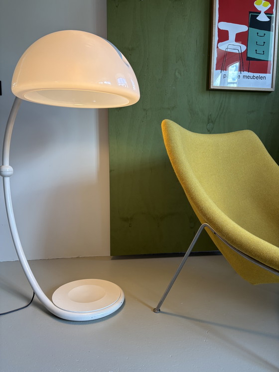 Artifort F157 Big Oyster Sillón recién tapizado – Sillones, Wool (photo 7 of 8)