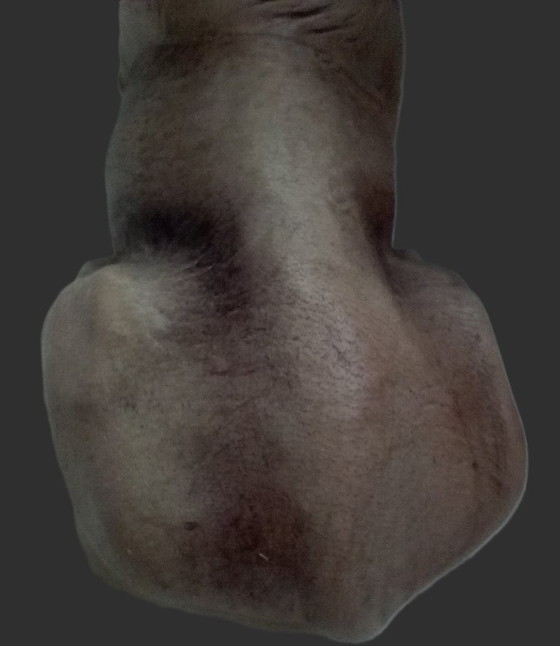 Image 1 of Borsa vintage in pelle Greyhound Château modellata a mano di metà secolo (Canada)