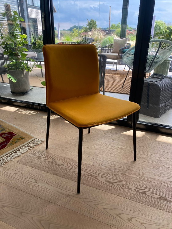 Image 1 of 6x BoConcept NEWPORT dining chair - Velvet