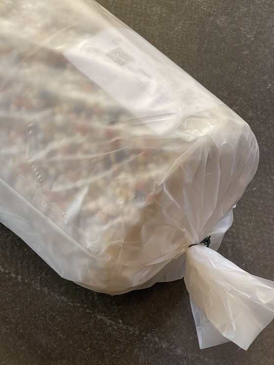 Image 1 of Brink en Campman Teppich Pebble Touch of Orange NEU