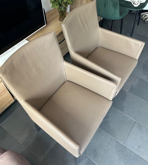 Sedie da pranzo Rolf Benz (2 pezzi) – eetkamerstoelen, Leather, Metal (photo 2 of 5)