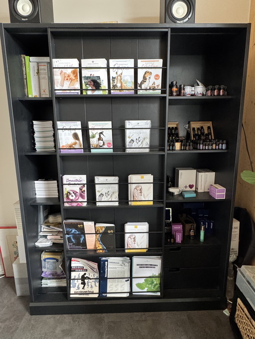 Black WOOOD Exclusive Swing Sliding Door Cabinet