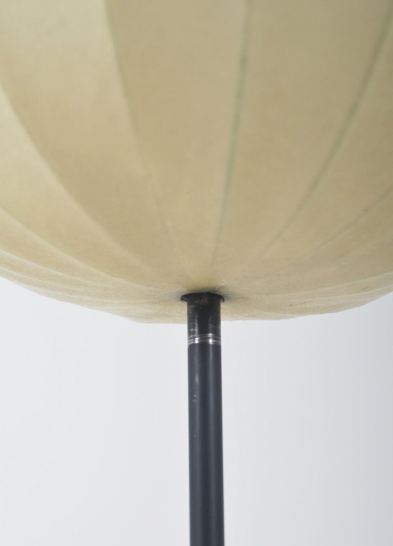 Image 1 of Lampadaire trépied vintage en forme de cocon avec accents en laiton, années 1960