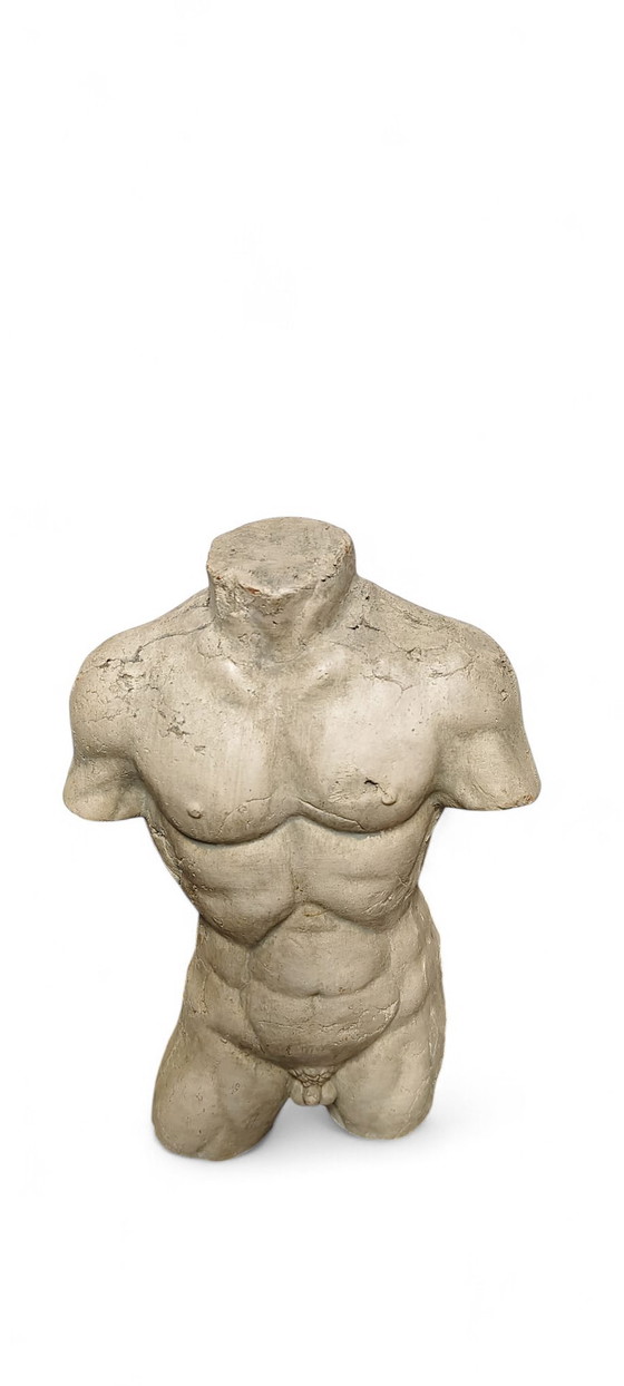 Image 1 of Frammento di scultura vintage in terracotta raffigurante un torso maschile, decorazione d'arte classica.