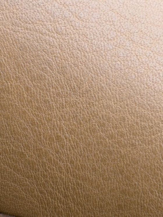 Image 1 of Fauteuil/méridienne Leolux Kikko en cuir Noli