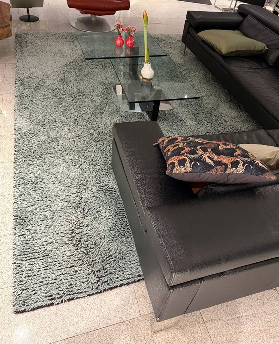 Image 1 of Alfombra Foret con base