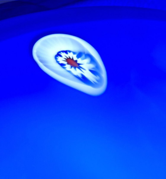 Lavorazione Arte Murano Cobalt Blue Glass Bowl – Schalen, Murano Glass (photo 4 of 6)