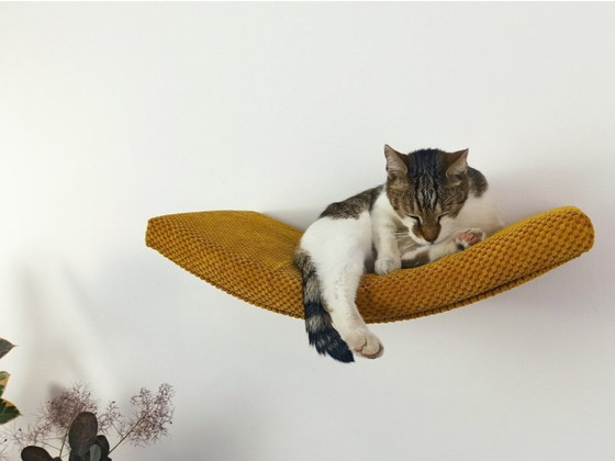 Image 1 of Kattenplank – The Arcing Haven 60 cm - onzichtbare bevestiging