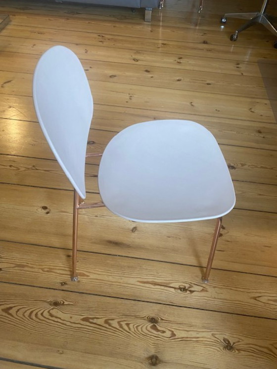 4x Sedia Infiniti Tondina Pop, Sedie da pranzo, Altro, Multicolore (foto 2 di 5)