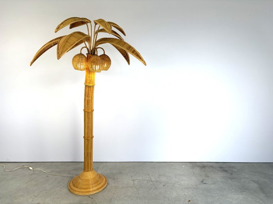 Lampada da terra vintage a palma, anni '70 - di Mario Lopez Torres, Lampade da terra, Rattan, Beige (foto 8 di 12)