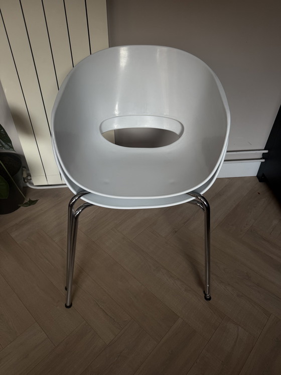 Image 1 of Sedie da pranzo (vasca)