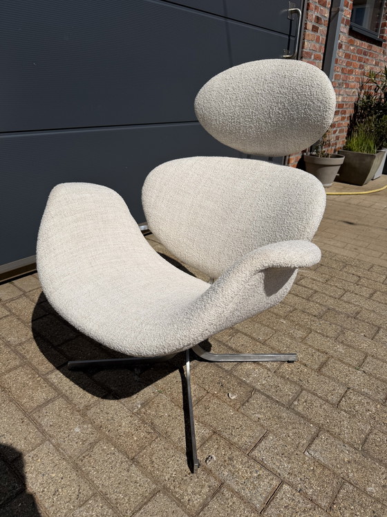 Image 1 of Artifort Big Tulip 1ste éditie P. Paulin Beige/écru Bouclé