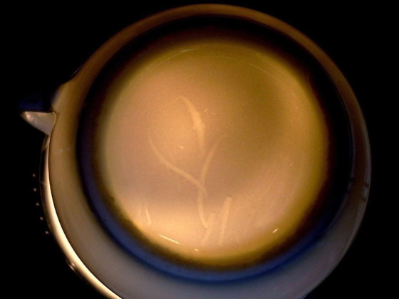 Tournai Oder Vieux Paris Sahnetopf Milchkännchen Schokoladentasse – Geschirr, Porcelain (photo 5 of 5)