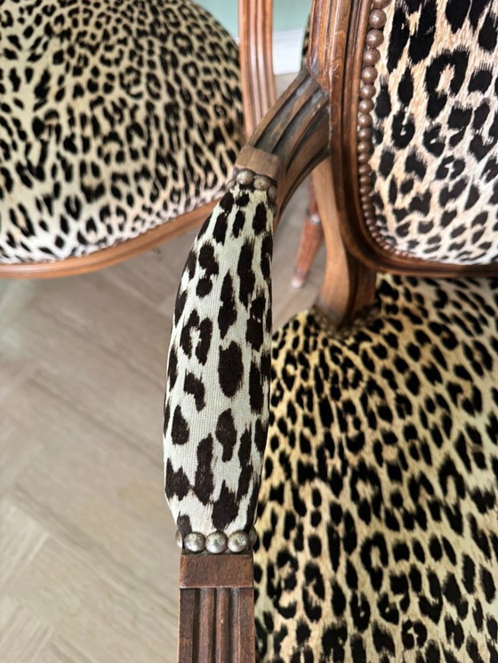 Image 1 of Trio di poltrone a medaglione Luigi XVI – Stile leopardo / Chic & Bold