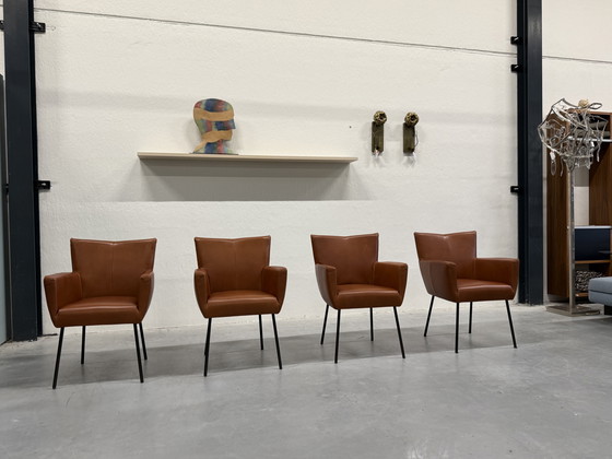 Image 1 of 4 Sillas de comedor Moka de diseño en stock Cera Cognac