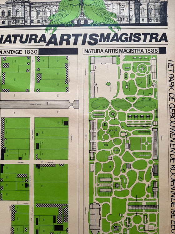 Image 1 of Natura Artis Magistra – Carte vintage du zoo Artis (Amsterdam)