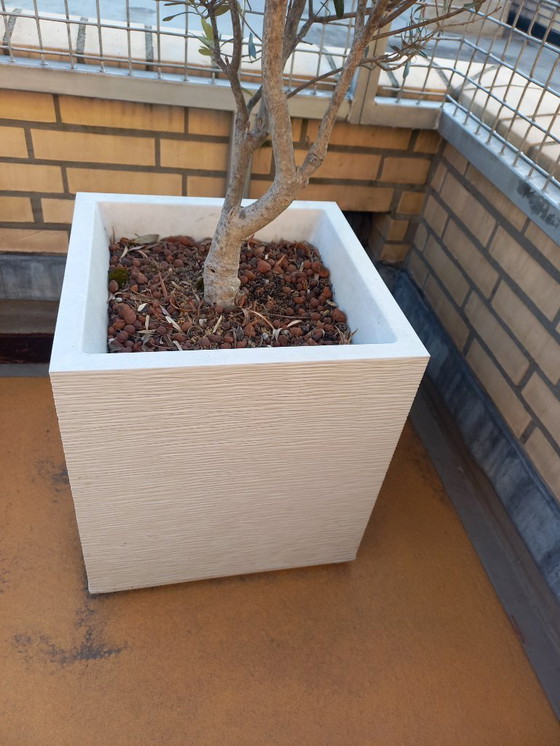 Image 1 of 2 x white planters elho